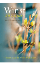 Winst uit verlies.jpg