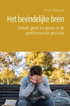 bevindelijke brein.jpg