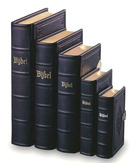 Zwart leer, zilverslot  gbs h32z